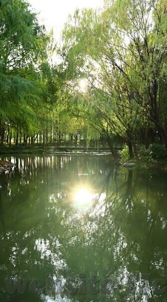 91精品麻豆日日躁夜夜躁-珍爱生活，远离不良网络内容——理性构筑绿色网络环境