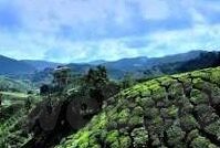 av色日韩-探索文化与艺术交融的边界，日韩影视的多元视角