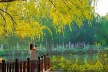 操人妻影院-探索成人内容平台的边界与影响