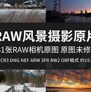 大象传媒麻豆一二三-探索大象传媒与麻豆一二三的创意融合，重塑数字娱乐的边界
