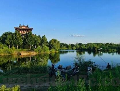 人妻被中出-家庭与情感的细腻交织，人妻的内心世界与情感抉择