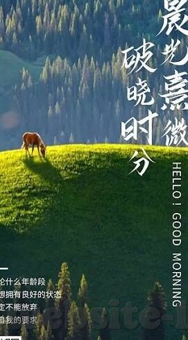 糖心app会员是真的吗-深入解析糖心app会员真实性的迷雾