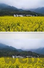 糖心vlog苹果版下载-尝鲜必备！解锁糖心Vlog的苹果新体验